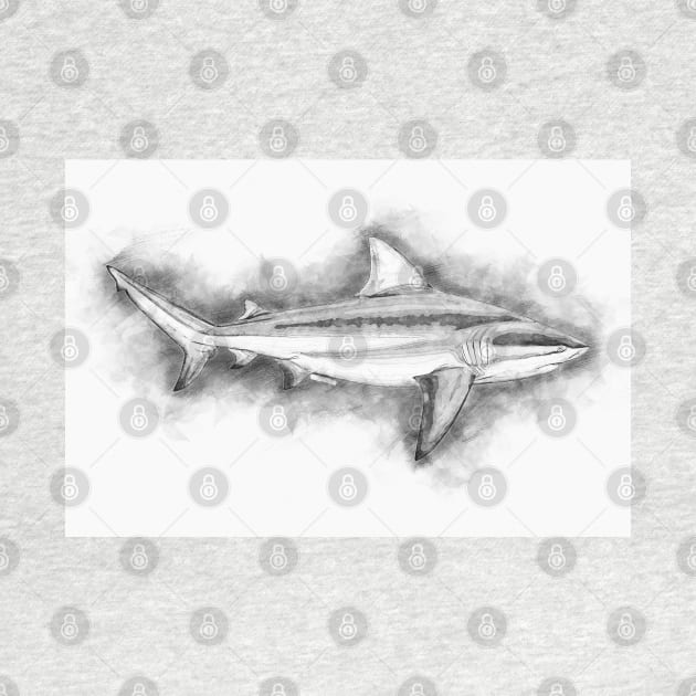 BULL SHARK Fine Art Sketch Drawing for the Ocean and Animal Lovers by Naumovski